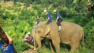 Baan Chang Elephant Paradie Chiang Mai