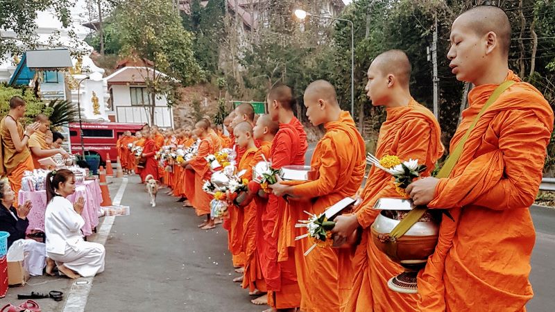 Monks collecting morning alms at Doi Suthep