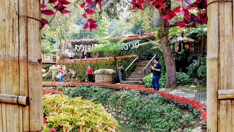 Mae Fah Luang - Flowers