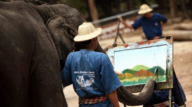 Mae Sa Elephant Camp Chiang Mai