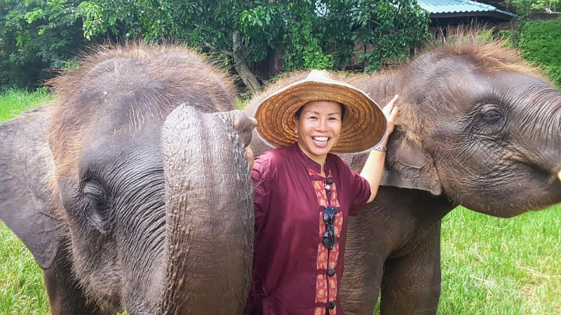 Chang Thai Elephant Pants-Red – The Elephant Temple