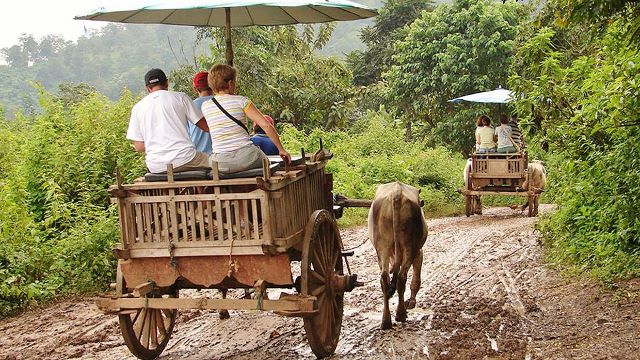 Maetaeng Elephant Park - Ox Cart Ride