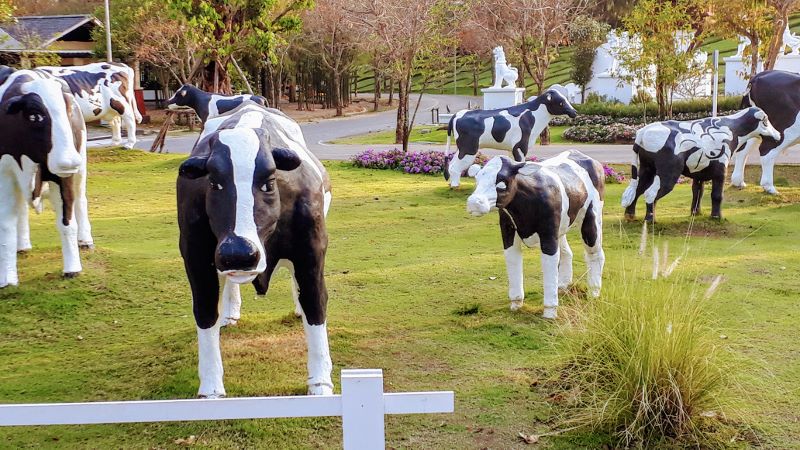 Royal Park Rajapruek - Cows