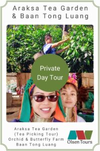 Araksa Tea Gardens & Baan Tong Luang: Private Day Tour