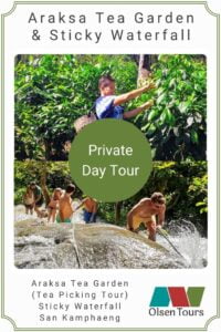 Araksa Tea Gardens & Bua Tong Sticky Waterfall: Private Day Tour