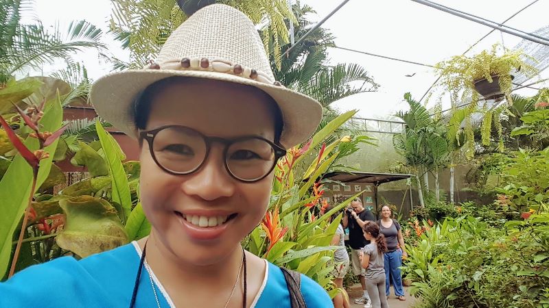 Butterfly Enclosure at Bai Orchid & Butterfly Farm