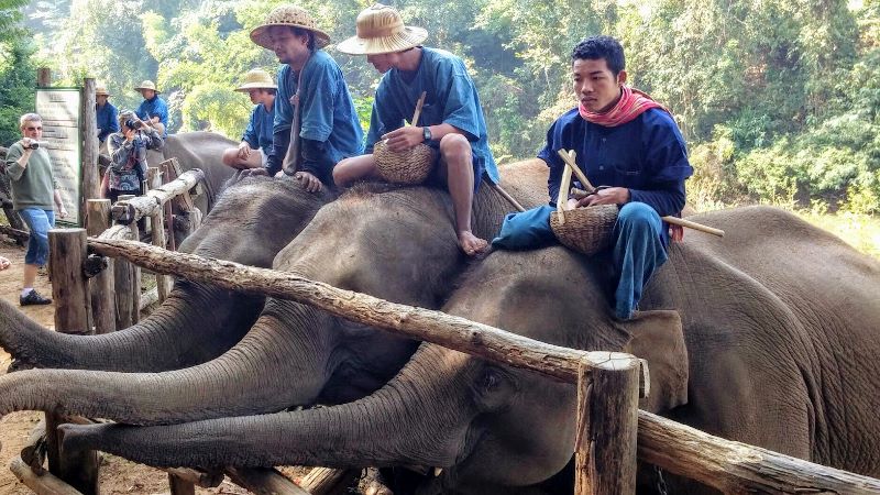 Chiang Dao Elephant Camp