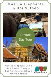 Mae Sa Elephant Camp & Doi Suthep Private Day Tour