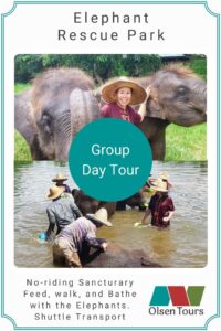Elephant Rescue Park Group Tour