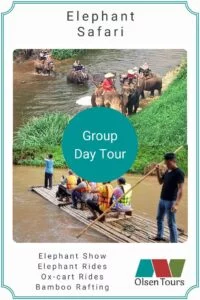 Elephant Safari Group Tour