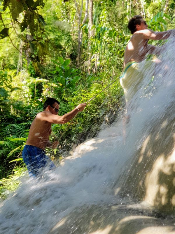 Bua Tong Sticky Waterfall