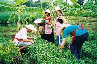 Thai Farm Cooking School - Garden