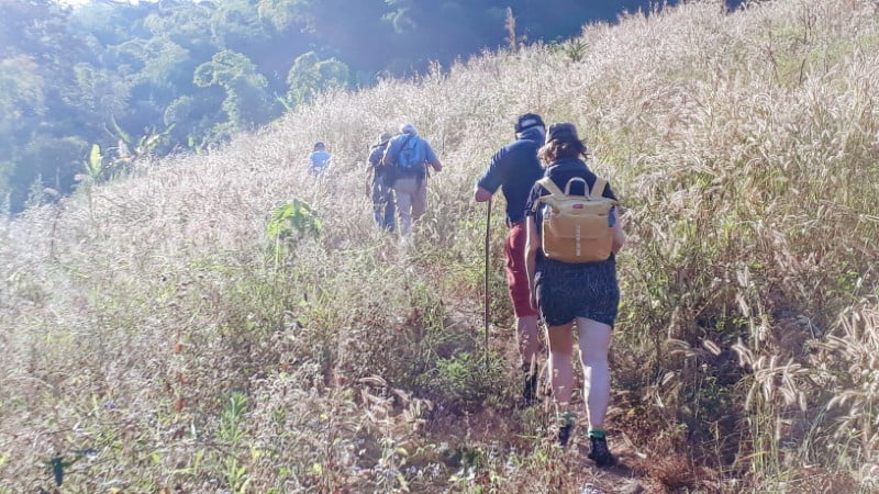 Trekking through grasslands near Bamboo Nest de Chiang Rai