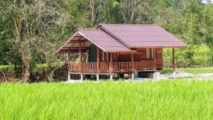 Mae Klang Luang Hill accommodation