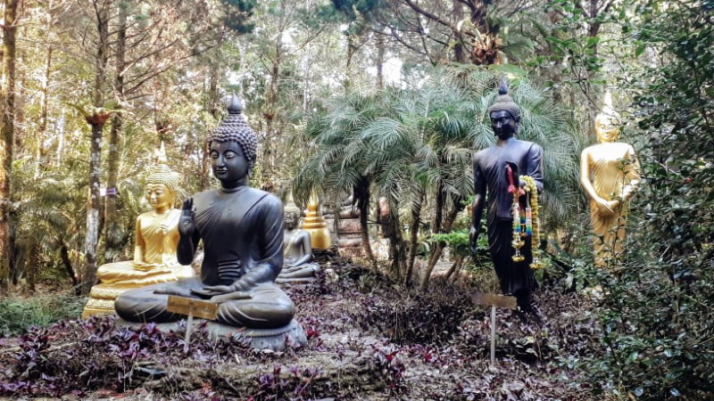Buddha statues at Temple Park, Doi Chang