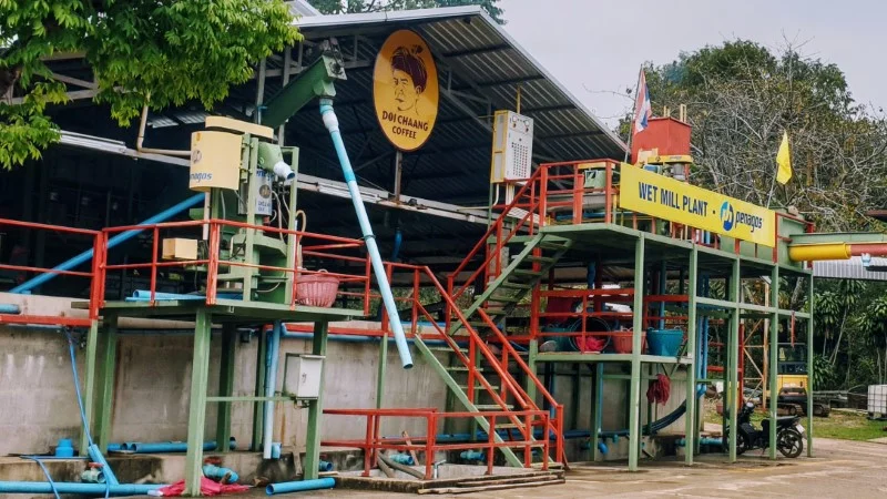 Wet Mill Plant at Doi Chaang Coffee Estate