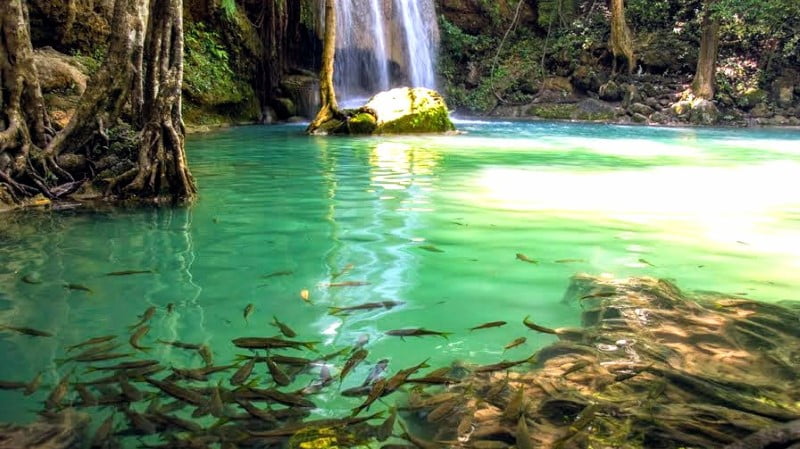 Erawan Falls (Level 3)