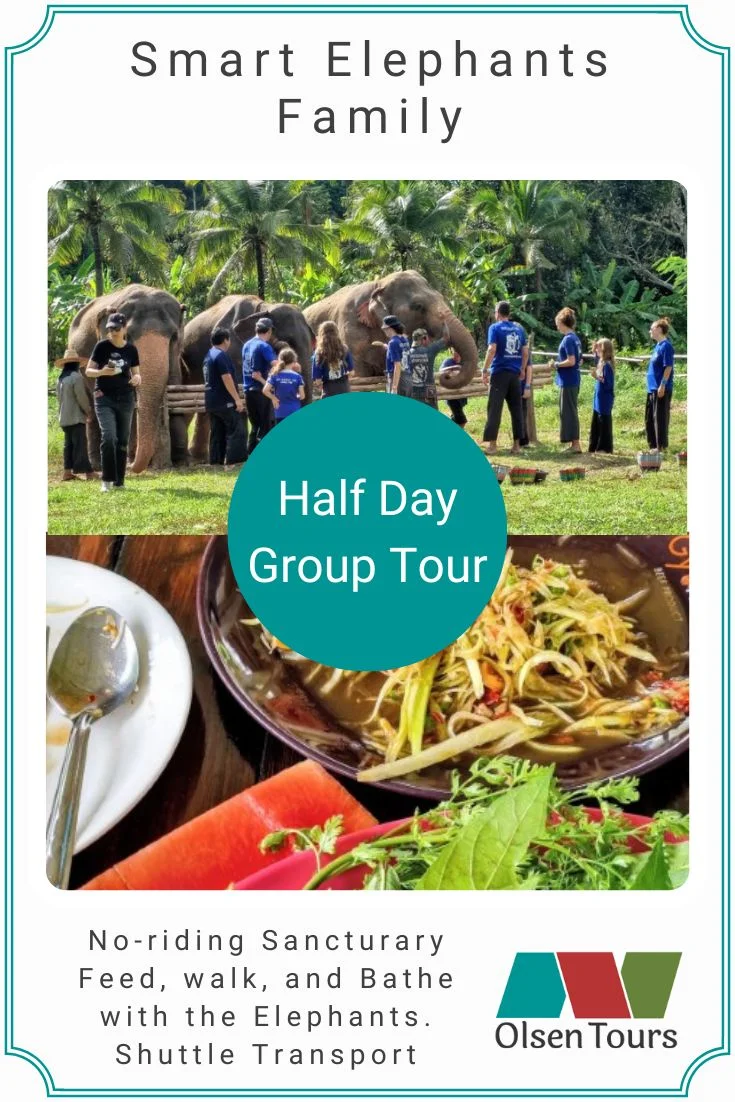 Smart Elephants Family Group Tour