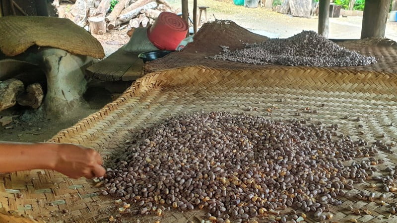 Roasted tiger peanuts, cooling in Mae Hong Son