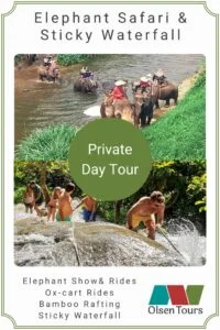 Tea Picking, Elephant Sanctuary & Sticky Waterfall (private day tour)