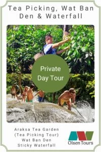 Tea Picking,Wat Ban Den & Sticky Waterfall (private day tour)
