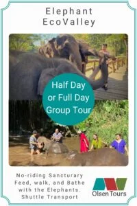 Elephant EcoValley Group Tour