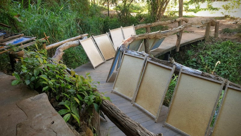 Drying dung paper at Elephant EcoValley