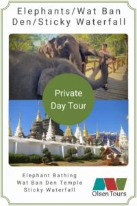 Elephant EcoValley, Wat Ban Den & Sticky Waterfall (private day tour)