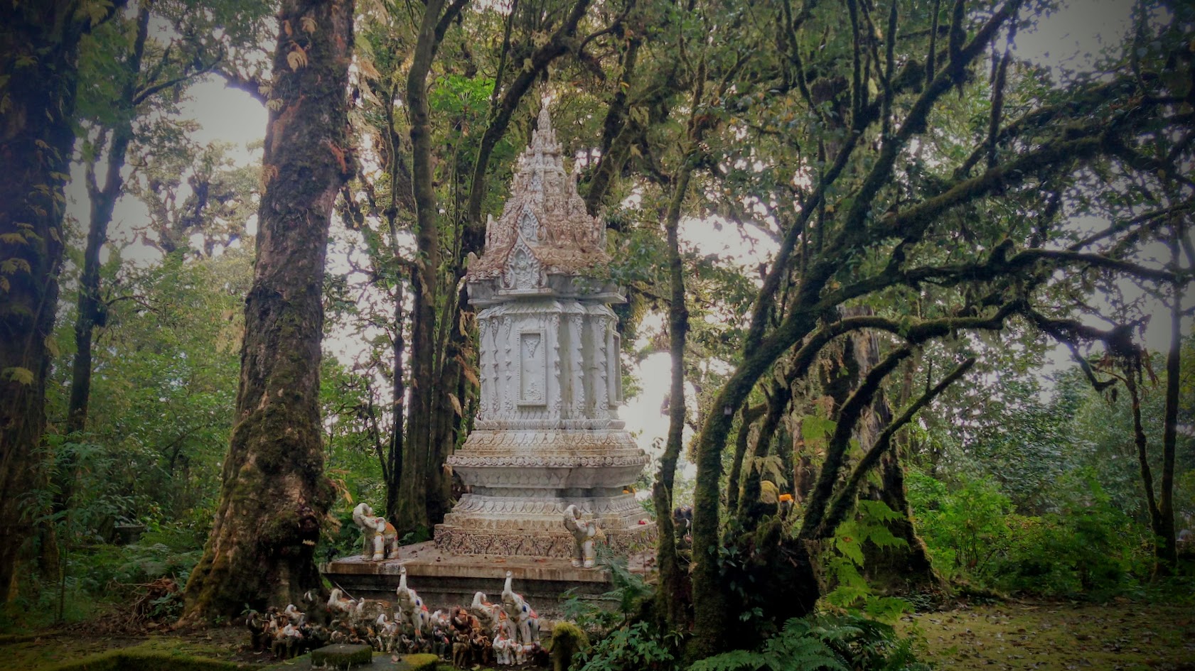 Doi Inthanon Summit