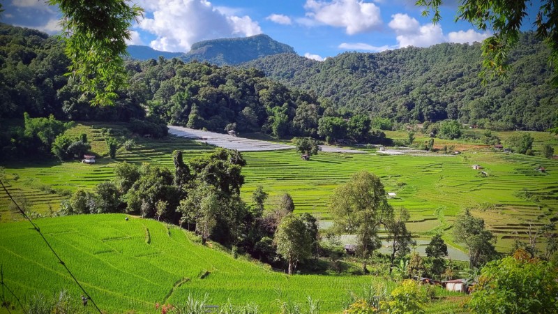 Farmland at Pha Dok Siew